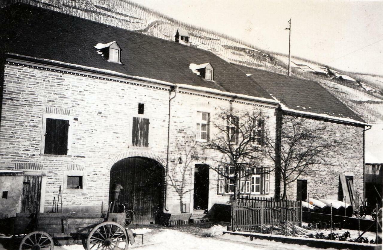 Altes Loerscher Winzerhaus Mehring  Eksteriør bilde